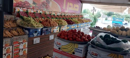 عکس میوه صدرا