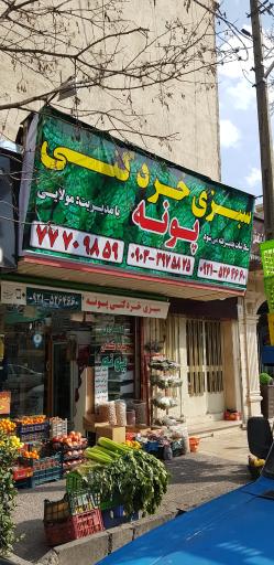 عکس سبزی خرد کنی پونه