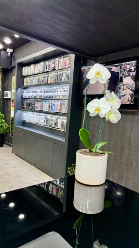 عکس ایفون استور شکری