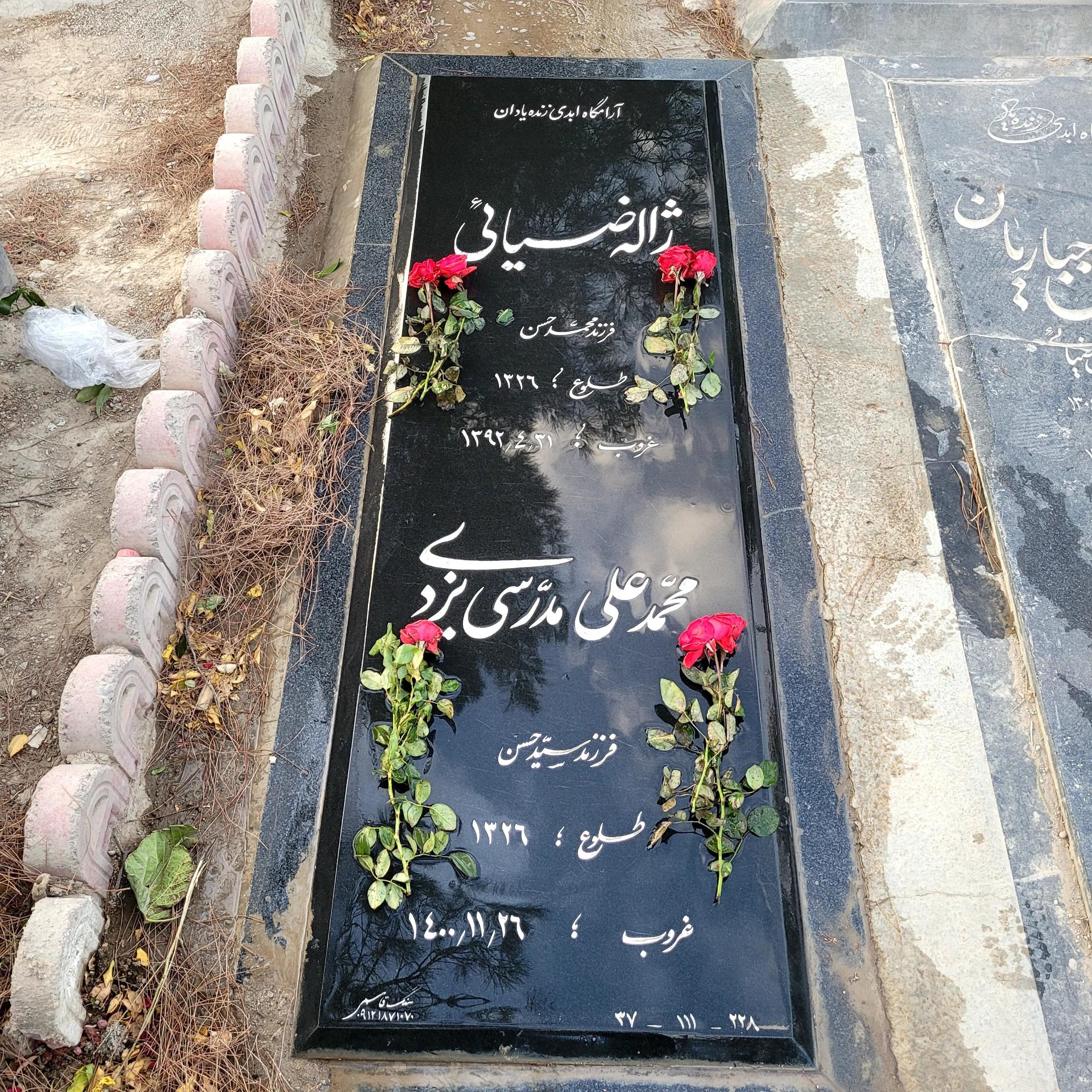 عکس مزار مرحوم محمد علی مدرسی یزدی