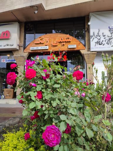 عکس خدمات چاپ سیلک شیمی رنگ