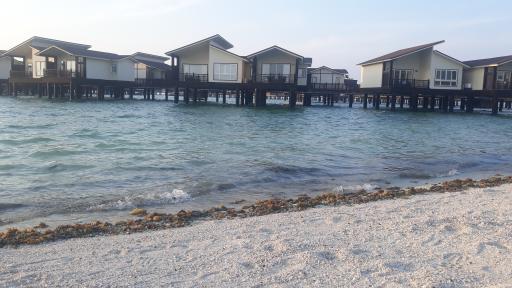 عکس رستوران خورشید هتل ترنج