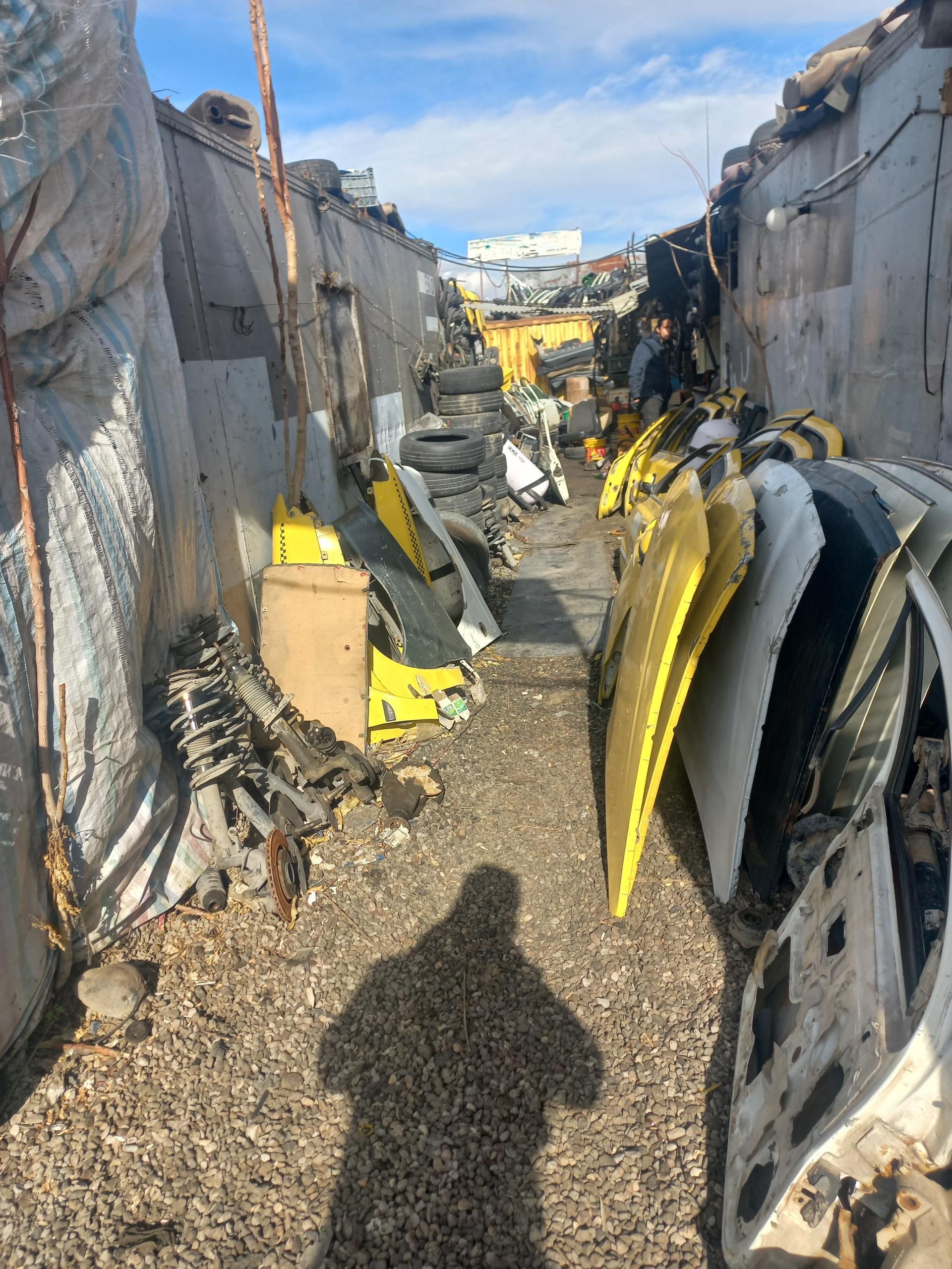 عکس استوک فرزان نیک