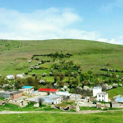 عکس نوده