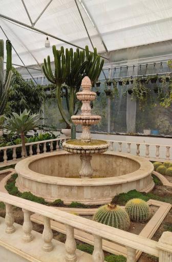 عکس کرمان نهال