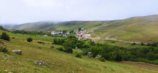 عکس نوده