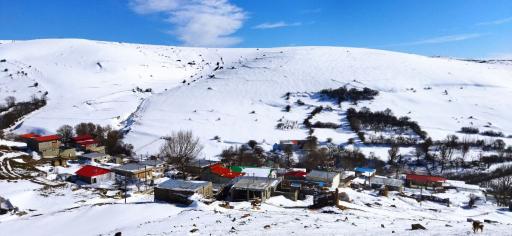 عکس نوده
