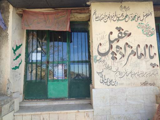 عکس امامزاده عقیل