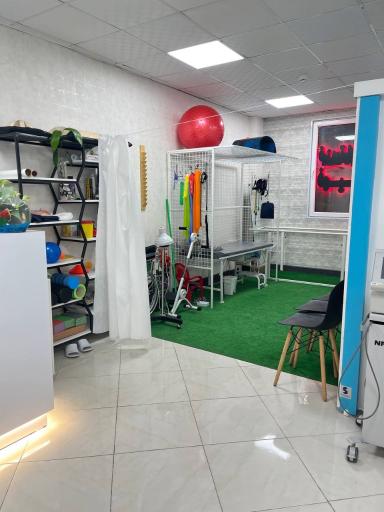 عکس فیزیوتراپی فهیم