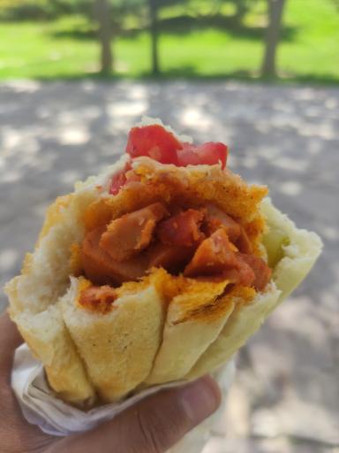 عکس ساندویچی فردوسی