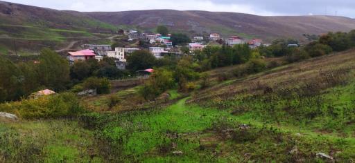 عکس نوده