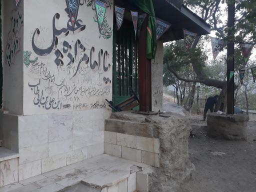 عکس امامزاده عقیل