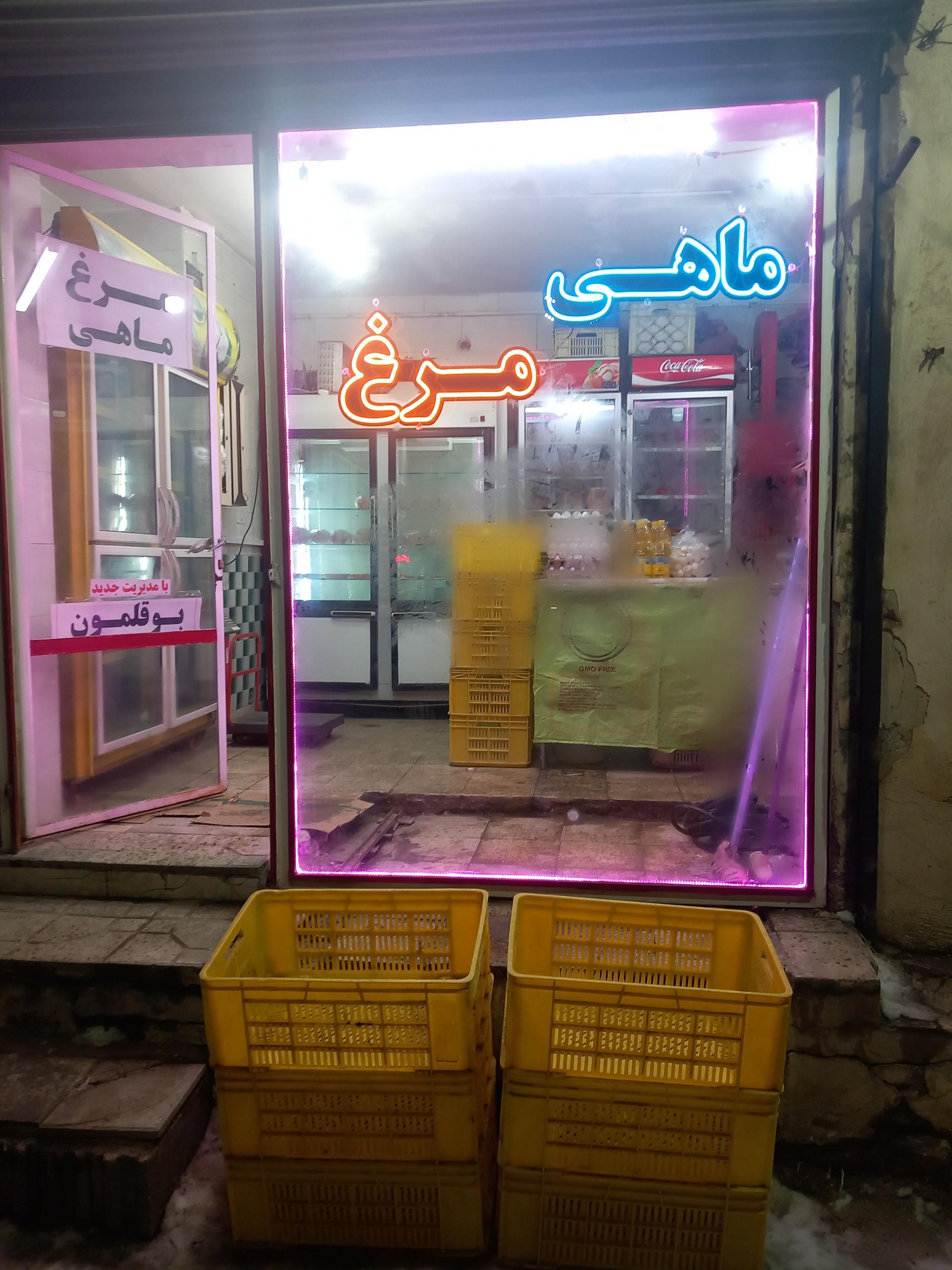 عکس مرغ و ماهی هنرمند