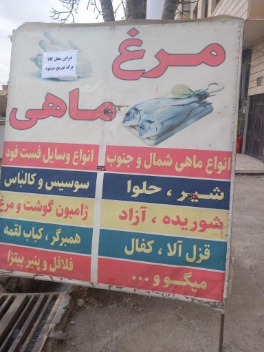 عکس مرغ و ماهی هنرمند