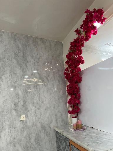 عکس مرکز لاغری و زیبایی سیب سربی