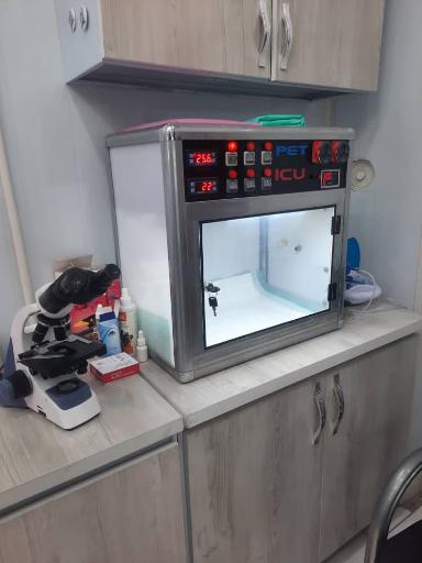 عکس کلینیک دامپزشکی و پت شاپ پیچا