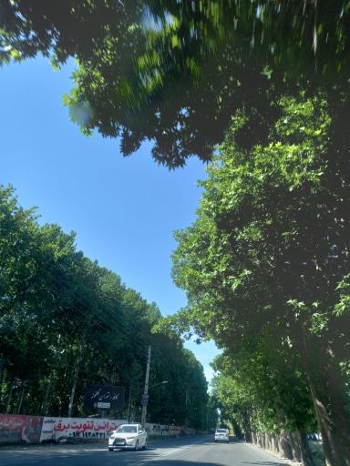 عکس زعفرانیه