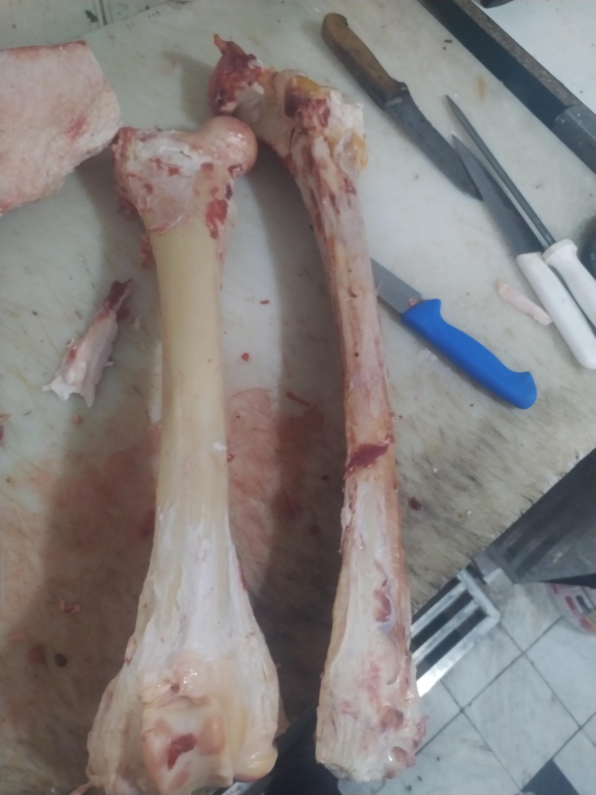 عکس قصابی احمدی