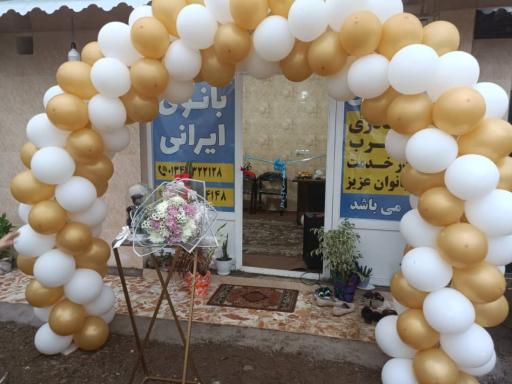 عکس تاکسی تلفنی بانوی ایرانی