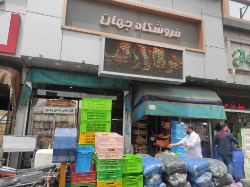 عکس پروتئین جهان