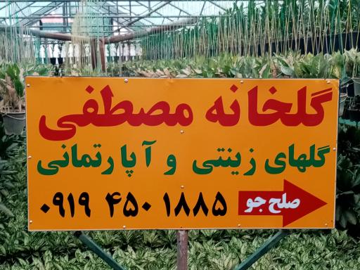 عکس گلخانه مصطفی صلح جو