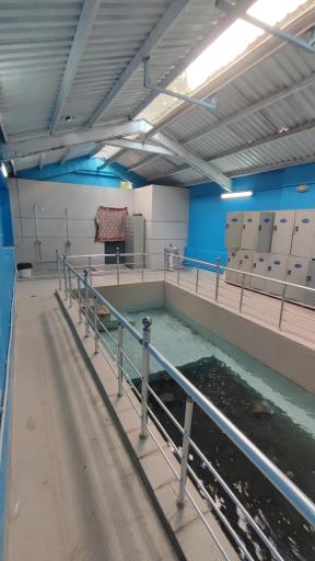 عکس آب گازدار