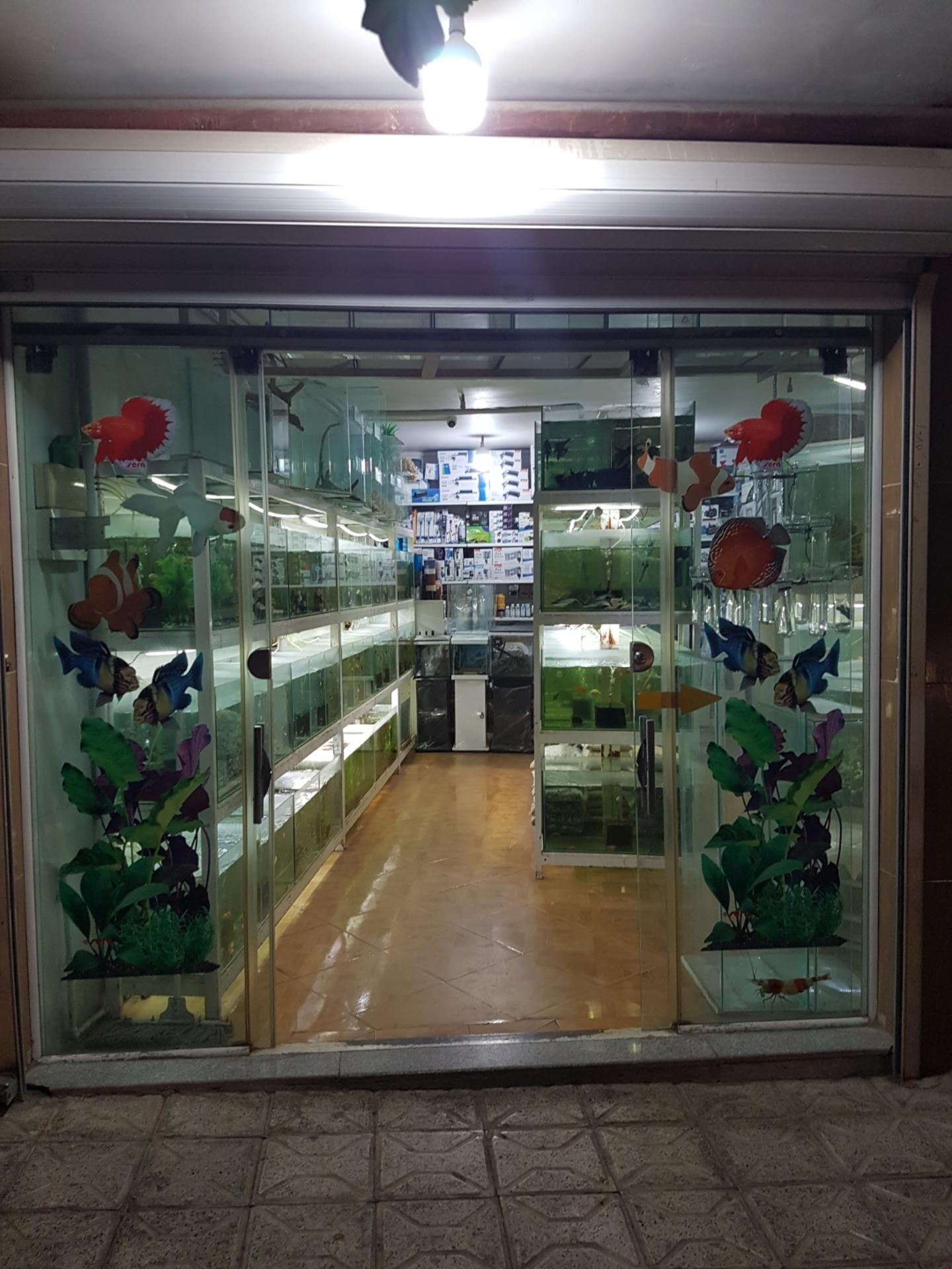 عکس آکواریوم آرام