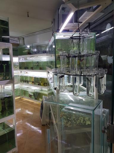 عکس آکواریوم آرام