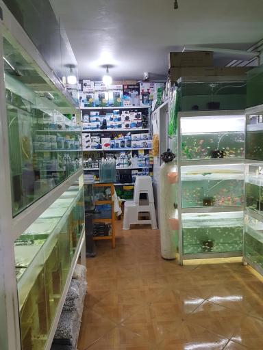 عکس آکواریوم آرام