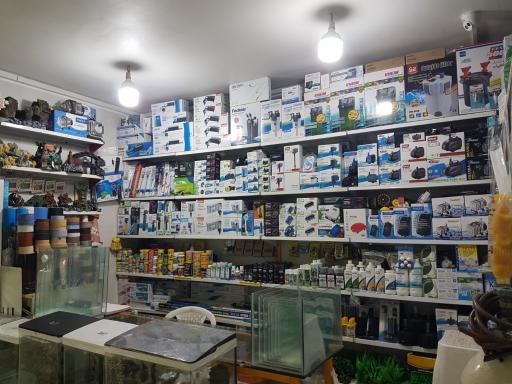 عکس آکواریوم آرام