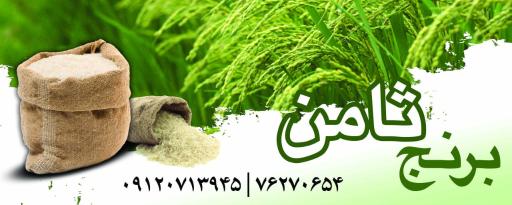 عکس برنج ثامن