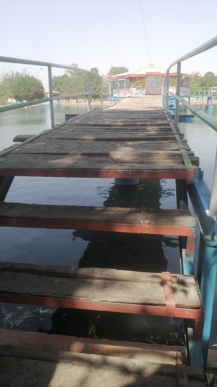 عکس بوستان شهر