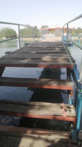 عکس بوستان شهر