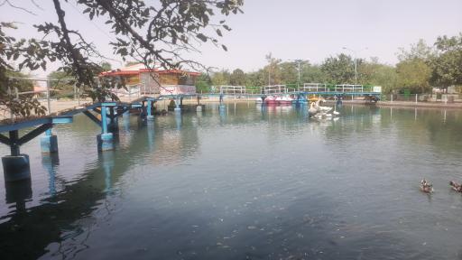 عکس بوستان شهر