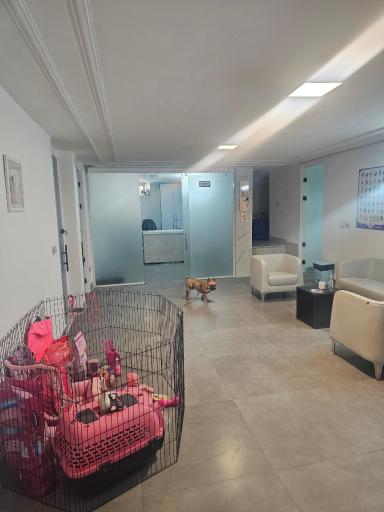 عکس کلینیک دامپزشکی نوین