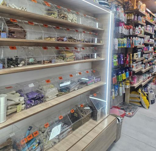 عکس کلینیک دامپزشکی نوین