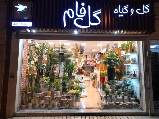 عکس گل فروشی گل فام