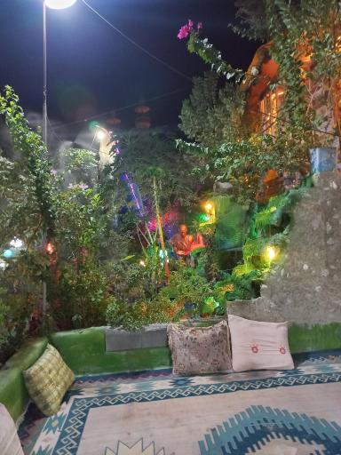 عکس شاندیز ایسین