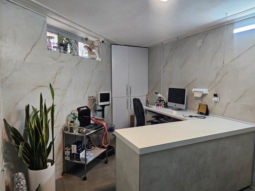 عکس کلینیک دامپزشکی نوین
