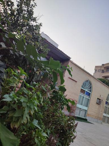 عکس مسجد آزادی