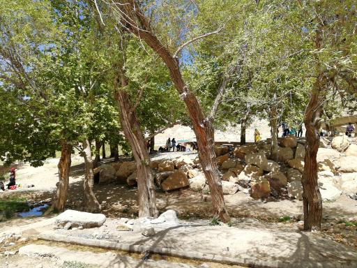 عکس چشمه بیدی