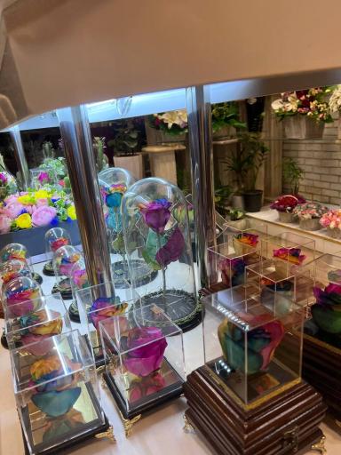 عکس گل فروشی گل فام