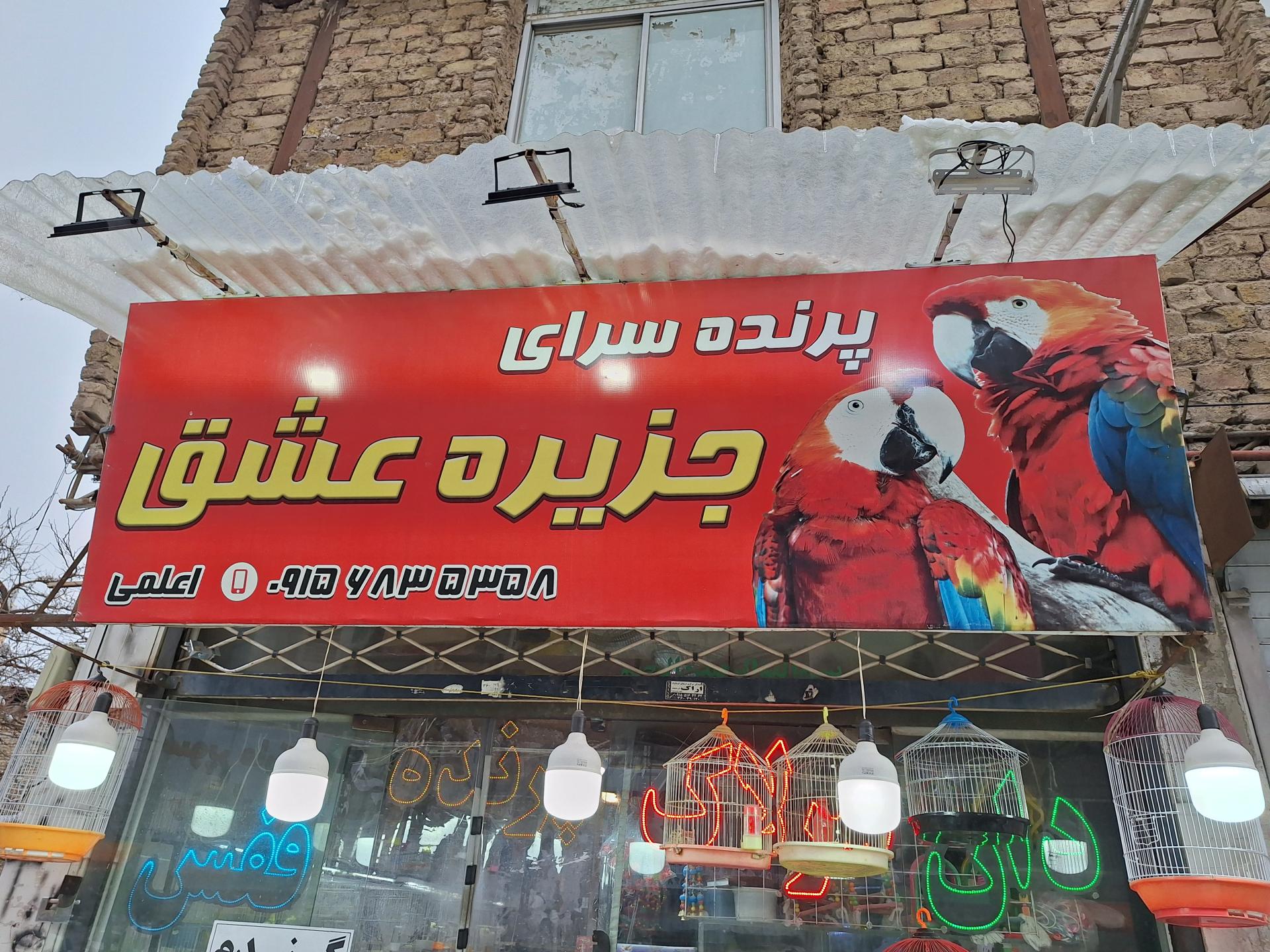 عکس فروشگاه پرنده جزیره عشق