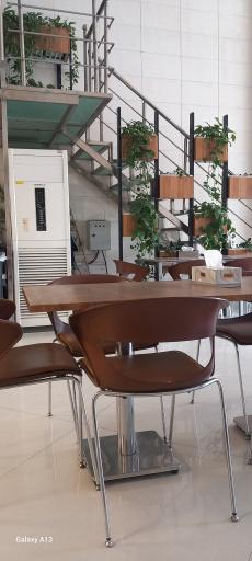 عکس پیتزا و ساندویچ ستاره شهر