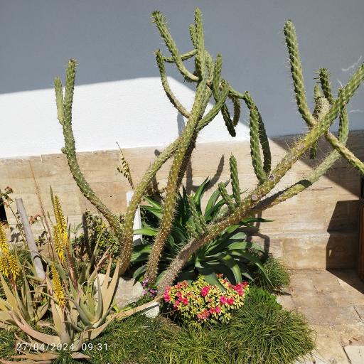 عکس وستا هتل