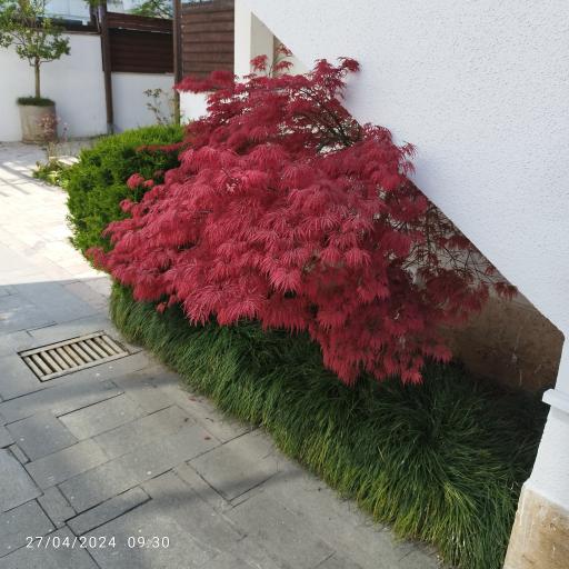 عکس وستا هتل