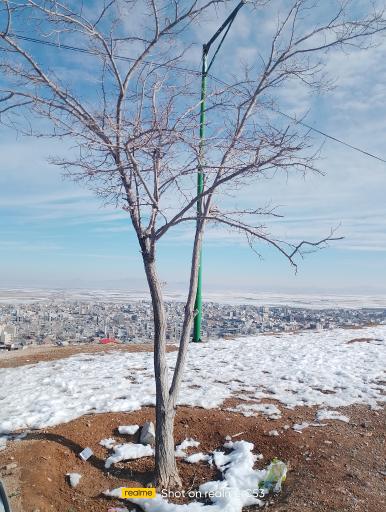 عکس پارک شهدای گمنام قروه (تپه شهدا)