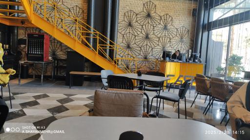 عکس پیتزا و ساندویچ ستاره شهر