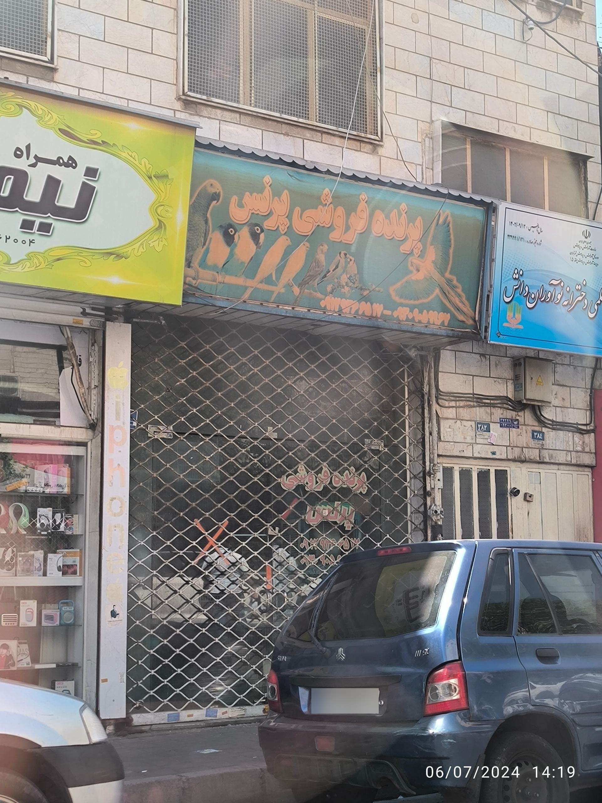 عکس پرنده فروشی پرنس