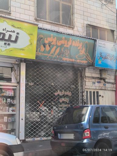 عکس پرنده فروشی پرنس